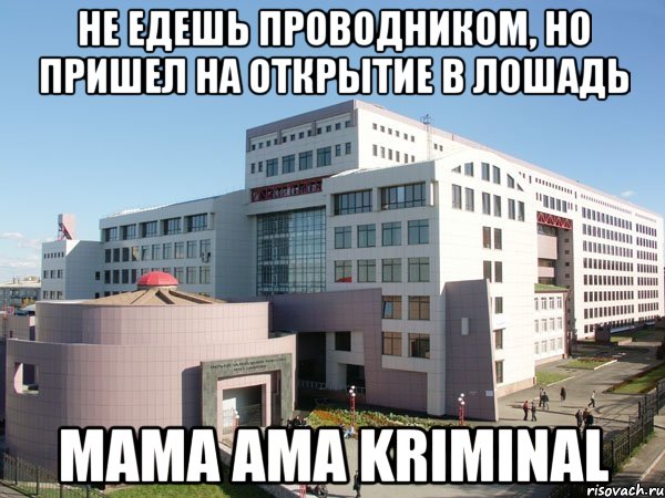 не едешь проводником, но пришел на открытие в лошадь mama ama kriminal