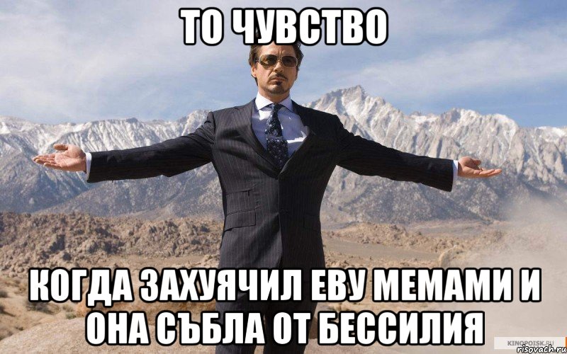 то чувство когда захуячил еву мемами и она събла от бессилия, Мем железный человек