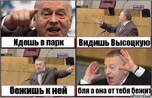 Идешь в парк Видишь Высоцкую бежишь к ней бля а она от тебя бежит, Комикс жиреновский