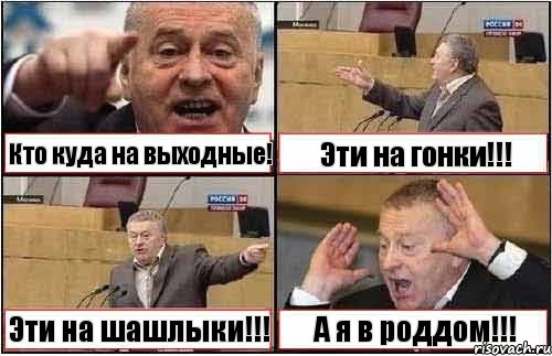 Кто куда на выходные! Эти на гонки!!! Эти на шашлыки!!! А я в роддом!!!, Комикс жиреновский