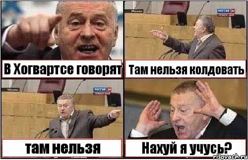 В Хогвартсе говорят Там нельзя колдовать там нельзя Нахуй я учусь?, Комикс жиреновский