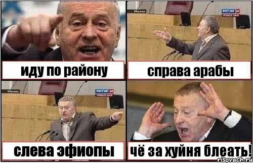 иду по району справа арабы слева эфиопы чё за хуйня блеать!, Комикс жиреновский