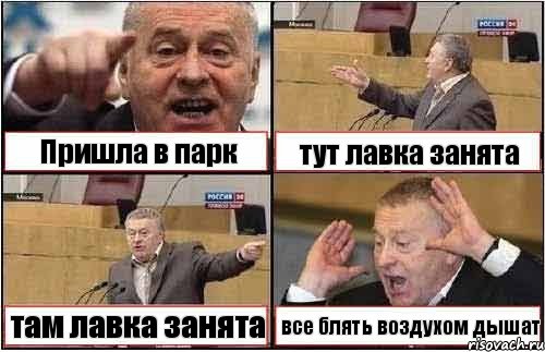 Пришла в парк тут лавка занята там лавка занята все блять воздухом дышат, Комикс жиреновский