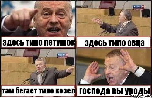 здесь типо петушок здесь типо овца там бегает типо козел господа вы уроды, Комикс жиреновский