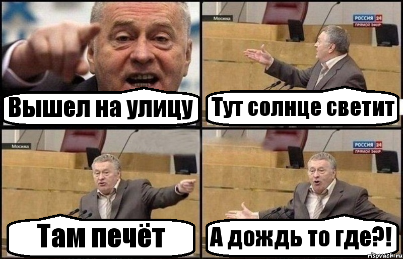 Вышел на улицу Тут солнце светит Там печёт А дождь то где?!, Комикс Жириновский