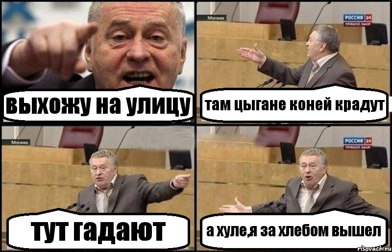 выхожу на улицу там цыгане коней крадут тут гадают а хуле,я за хлебом вышел, Комикс Жириновский