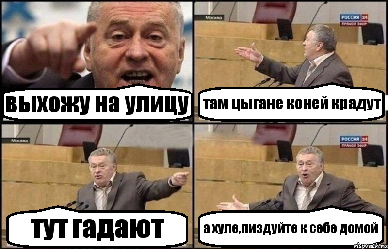 выхожу на улицу там цыгане коней крадут тут гадают а хуле,пиздуйте к себе домой, Комикс Жириновский