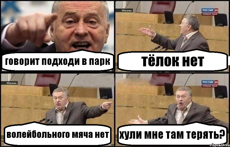 говорит подходи в парк тёлок нет волейбольного мяча нет хули мне там терять?, Комикс Жириновский