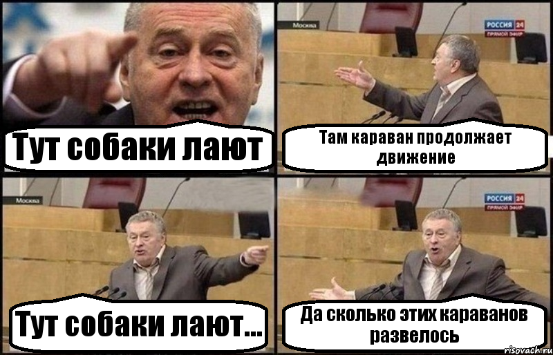 Тут собаки лают Там караван продолжает движение Тут собаки лают... Да сколько этих караванов развелось, Комикс Жириновский