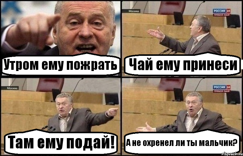 Утром ему пожрать Чай ему принеси Там ему подай! А не охренел ли ты мальчик?, Комикс Жириновский