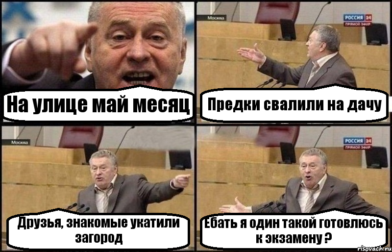 На улице май месяц Предки свалили на дачу Друзья, знакомые укатили загород Ебать я один такой готовлюсь к экзамену ?, Комикс Жириновский