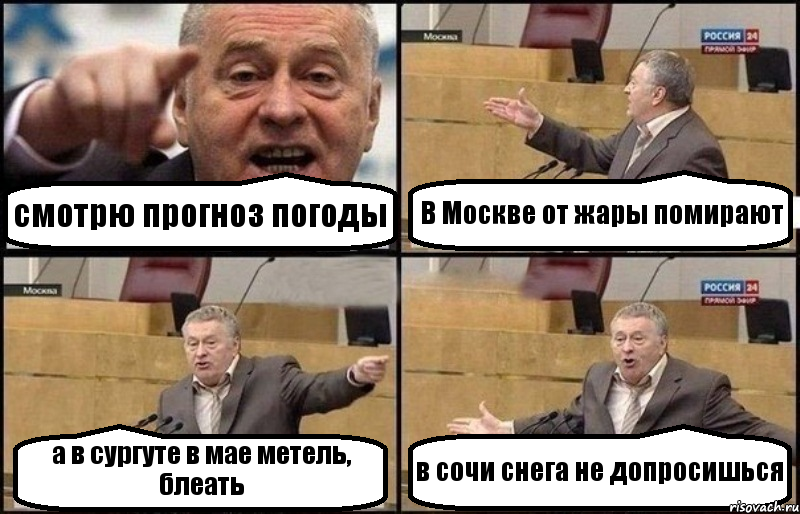 смотрю прогноз погоды В Москве от жары помирают а в сургуте в мае метель, блеать в сочи снега не допросишься, Комикс Жириновский