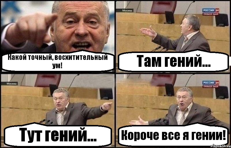 Какой точный, восхитительный ум! Там гений... Тут гений... Короче все я гении!, Комикс Жириновский