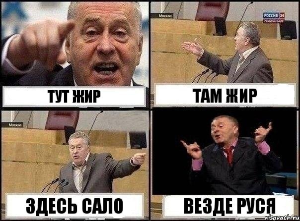 тут жир там жир здесь сало везде руся, Комикс Жириновский клоуничает