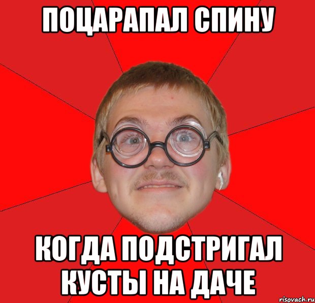 поцарапал спину когда подстригал кусты на даче, Мем Злой Типичный Ботан