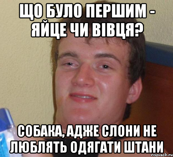 що було першим - яйце чи вівця? собака, адже слони не люблять одягати штани, Мем 10 guy (Stoner Stanley really high guy укуренный парень)