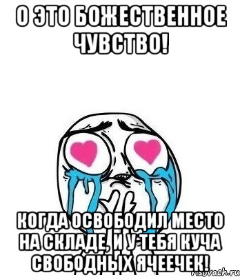 о это божественное чувство! когда освободил место на складе, и у тебя куча свободных ячеечек!, Мем Влюбленный