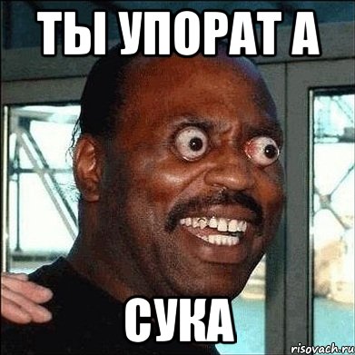 ты упорат а сука