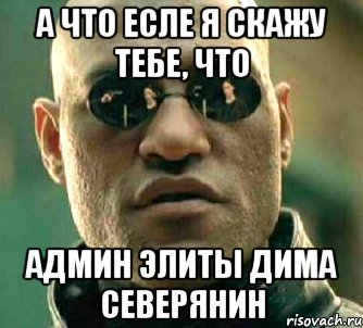 а что есле я скажу тебе, что админ элиты дима северянин, Мем  а что если я скажу тебе