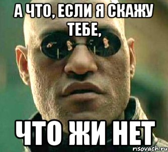 а что, если я скажу тебе, что жи нет