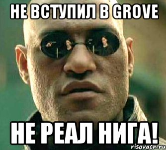 не вступил в grove не реал нига!, Мем  а что если я скажу тебе