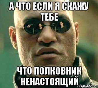 а что если я скажу тебе что полковник ненастоящий, Мем  а что если я скажу тебе