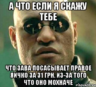 а что если я скажу тебе что зава посасывает правое яичко за 31 грн. из-за того что оно мохначе, Мем  а что если я скажу тебе