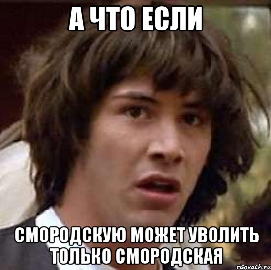 а что если смородскую может уволить только смородская, Мем А что если (Киану Ривз)