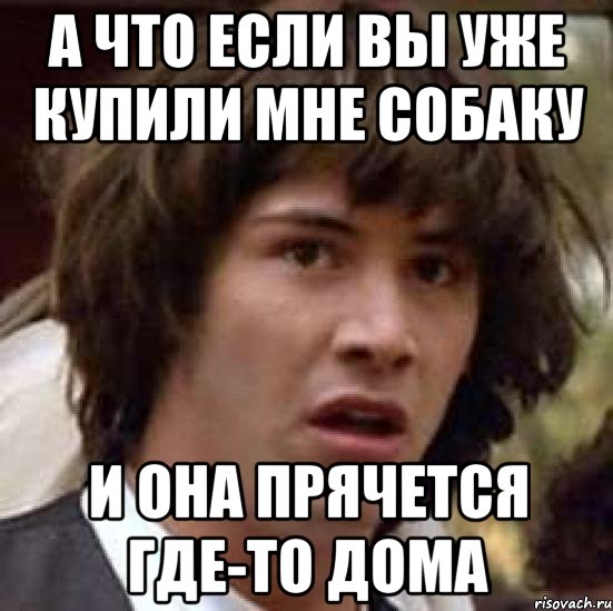 а что если вы уже купили мне собаку и она прячется где-то дома, Мем А что если (Киану Ривз)