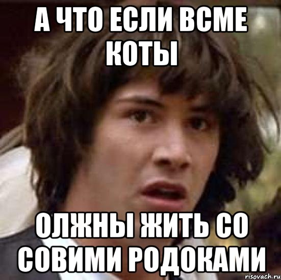 а что если всме коты олжны жить со совими родоками, Мем А что если (Киану Ривз)