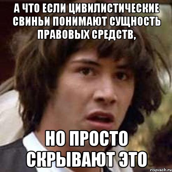 а что если цивилистические свиньи понимают сущность правовых средств, но просто скрывают это, Мем А что если (Киану Ривз)