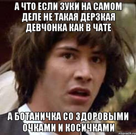 а что если зуки на самом деле не такая дерзкая девчонка как в чате а ботаничка со здоровыми очками и косичками, Мем А что если (Киану Ривз)