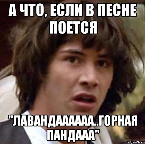 а что, если в песне поется "лавандаааааа..горная пандааа", Мем А что если (Киану Ривз)