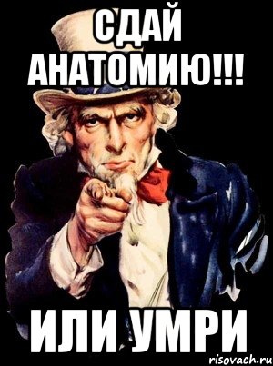 сдай анатомию!!! или умри, Мем а ты