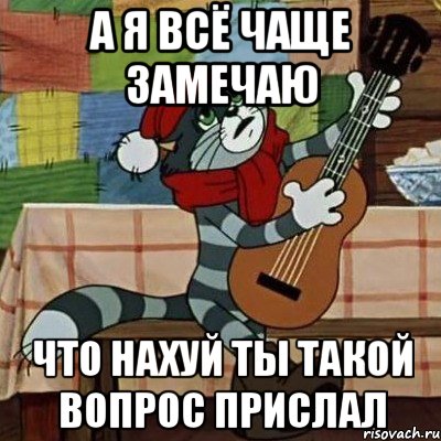 а я всё чаще замечаю что нахуй ты такой вопрос прислал, Мем Кот Матроскин с гитарой