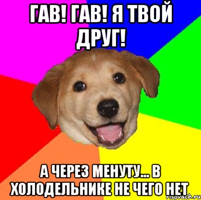 гав! гав! я твой друг! а через менуту... в холодельнике не чего нет, Мем Advice Dog