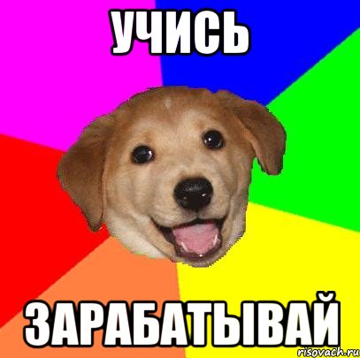 учись зарабатывай