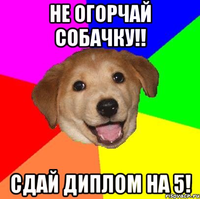 не огорчай собачку!! сдай диплом на 5!