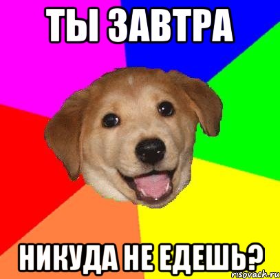 ты завтра никуда не едешь?