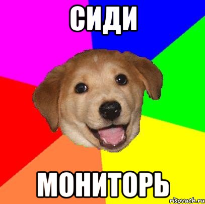 сиди мониторь, Мем Advice Dog