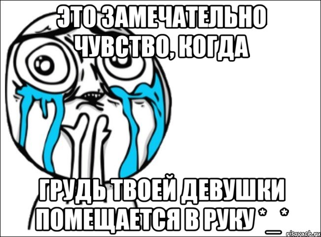 это замечательно чувство, когда грудь твоей девушки помещается в руку *_*, Мем Это самый