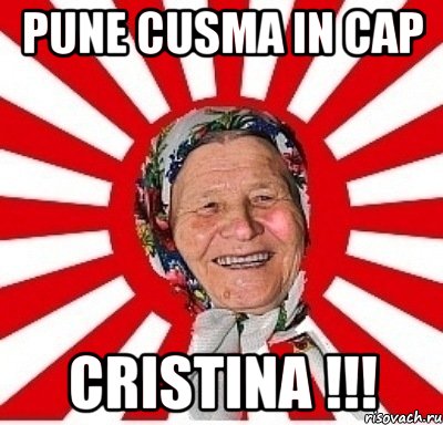 pune cusma in cap cristina !!!, Мем  бабуля