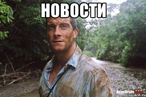 новости , Мем Беар