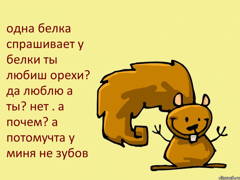 одна белка спрашивает у белки ты любиш орехи? да люблю а ты? нет . а почем? а потомучта у миня не зубов, Комикс  белка