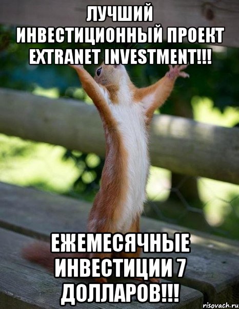 лучший инвестиционный проект extranet investment!!! ежемесячные инвестиции 7 долларов!!!