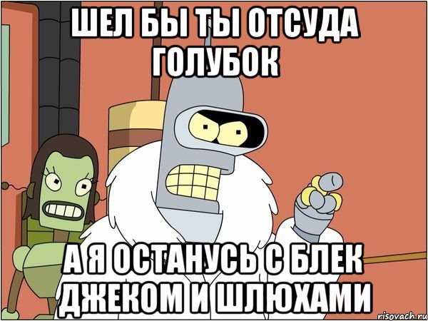 шел бы ты отсуда голубок а я останусь с блек джеком и шлюхами, Мем Бендер