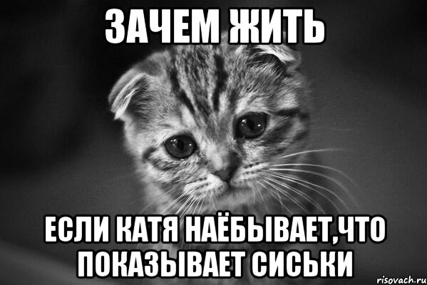 зачем жить если катя наёбывает,что показывает сиськи, Мем  безысходность