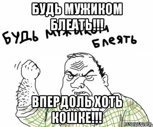 будь мужиком блеать!!! впердоль хоть кошке!!!, Мем блять