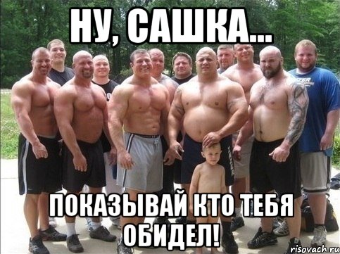 ну, сашка... показывай кто тебя обидел!