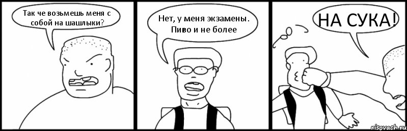 Так че возьмешь меня с собой на шашлыки? Нет, у меня экзамены. Пиво и не более НА СУКА!